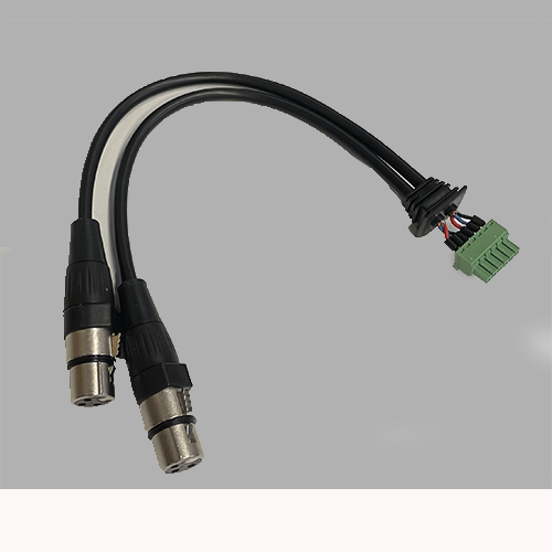 AU-X2IPRO-2XF | 2 XLR female pre-terminated cable for AU-X2IPRO-DA - Bild 1