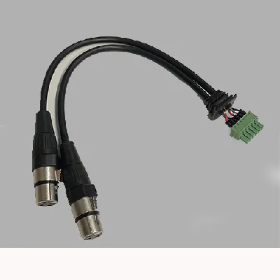 AU-X2IPRO-2XF | 2 XLR female pre-terminated cable for AU-X2IPRO-DA
